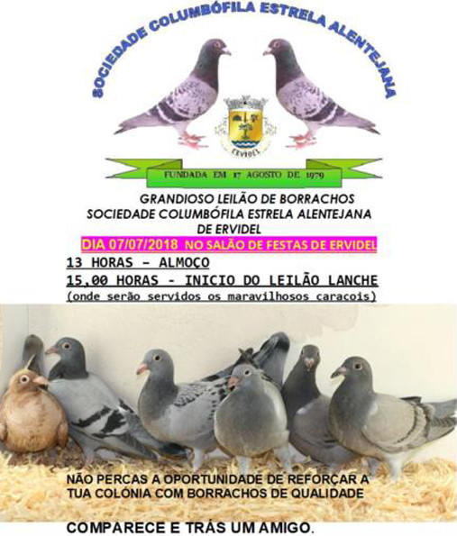 leilao-estrela.jpg leilao-estrela.jpg