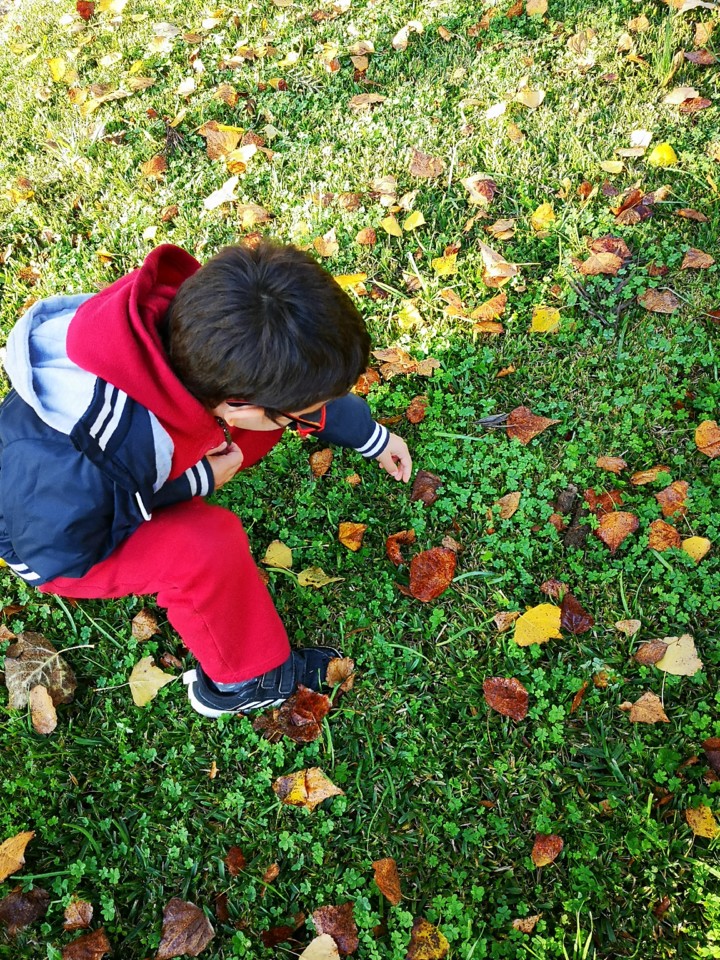 IMG_20201116_082838.jpg