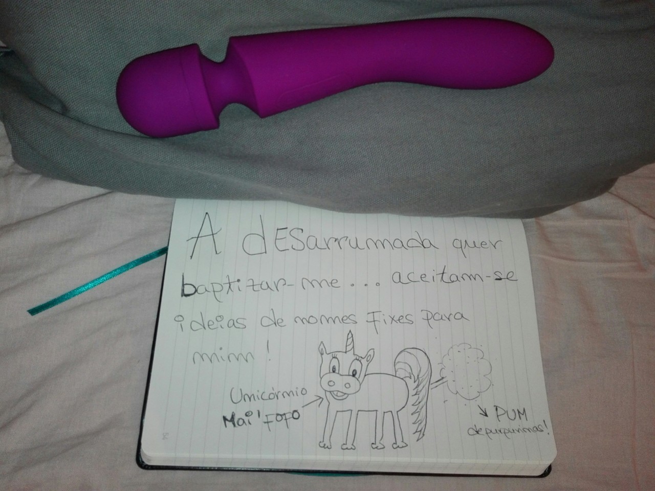 vibrador_desarrumada.jpeg