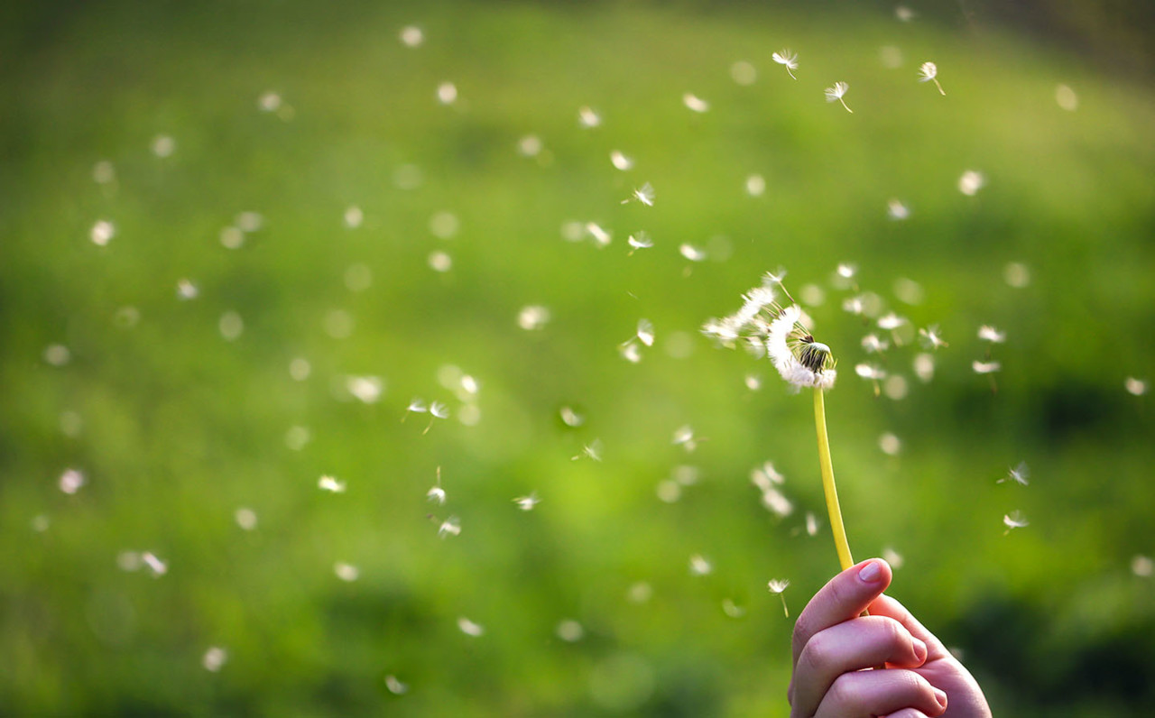 proteja-se-das-alergias-na-primavera-medis.jpg proteja-se-das-alergias-na-primavera-medis.jpg