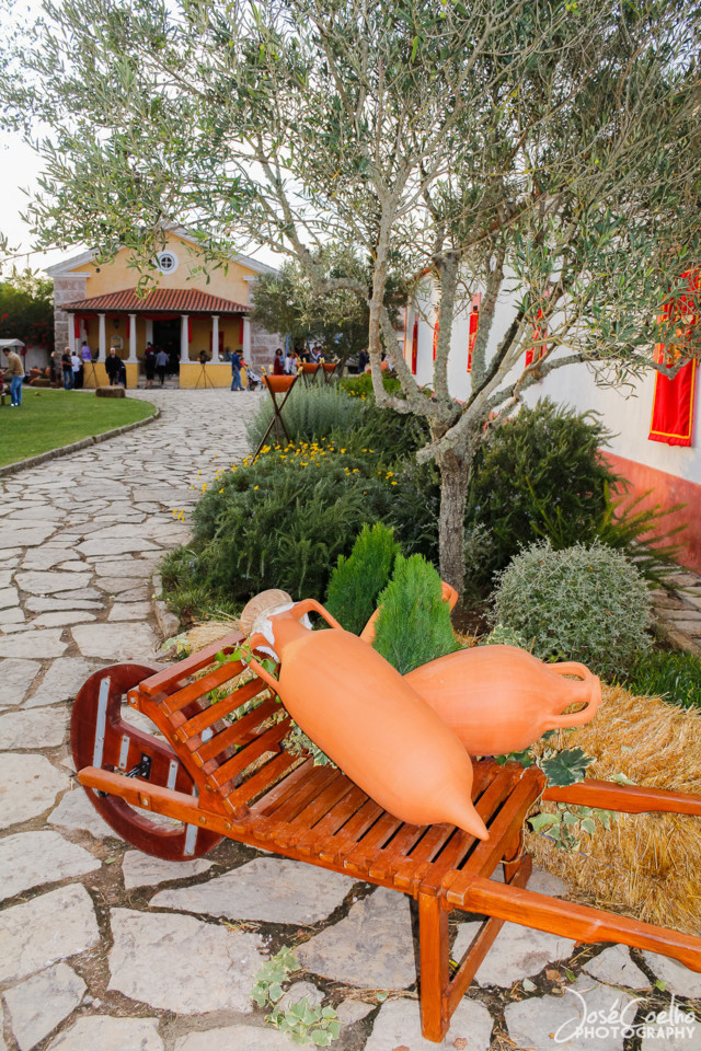 festival romano museu odrinhas 2019 (8).jpg