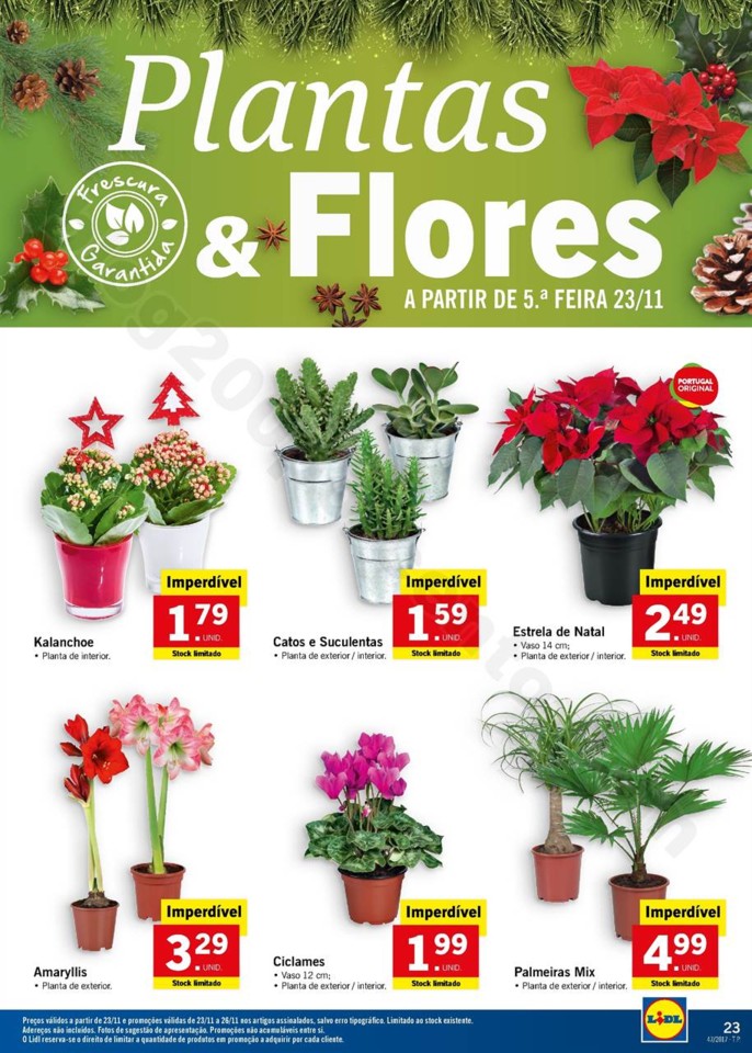 antevisão folheto LIDL 20a26nov