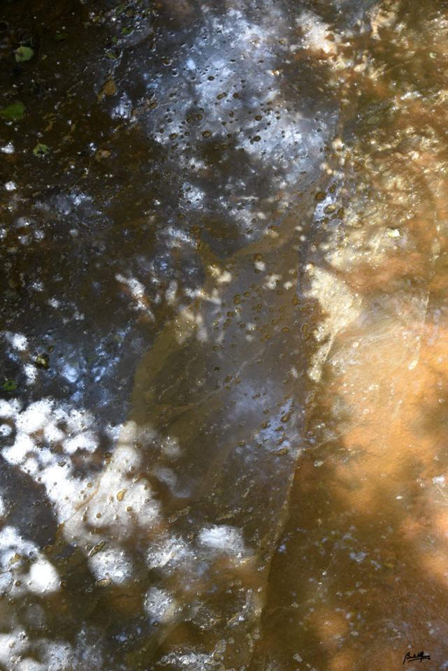 _DSC9132.JPG
