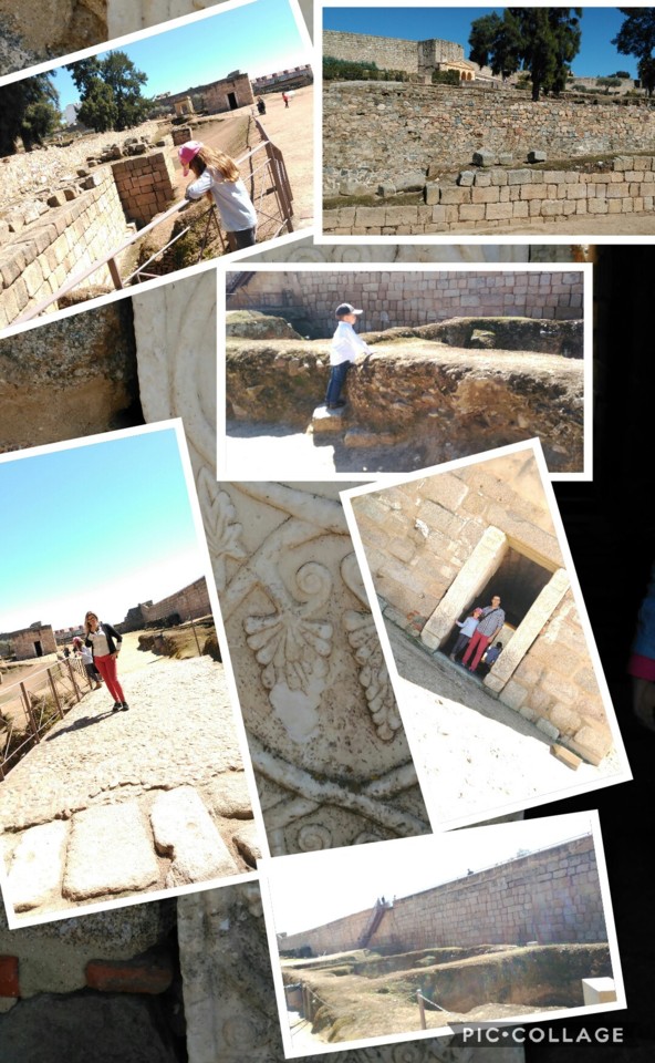 Collage 2018-03-28 19_18_49.jpg Collage 2018-03-28 19_18_49.jpg