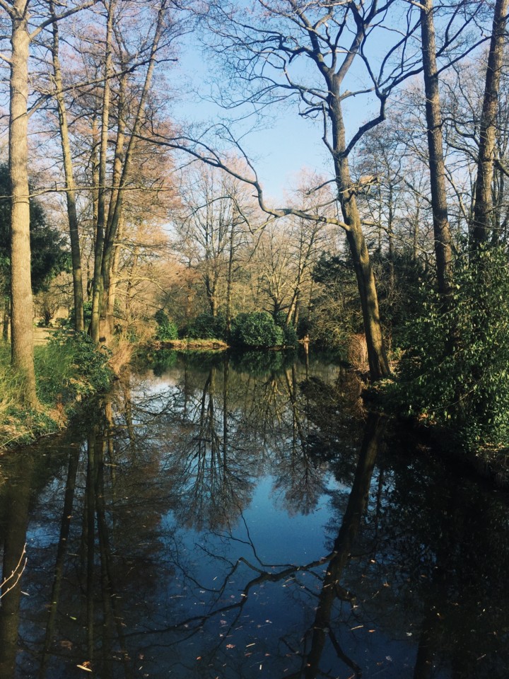 berlim-tiergarten.jpg