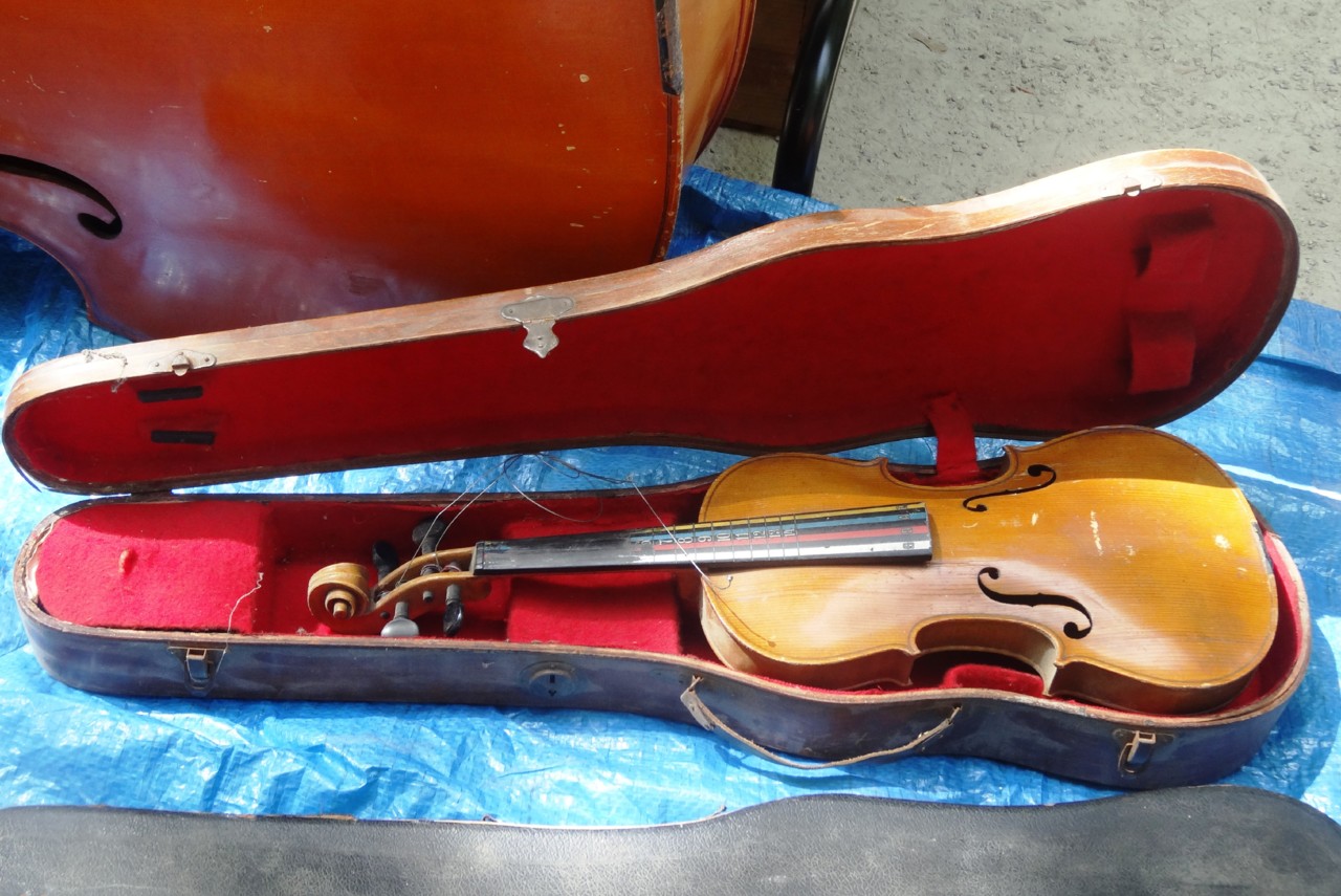 Violino.JPG