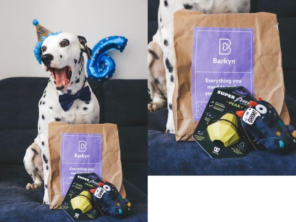BarkynDogs.jpg BarkynDogs.jpg