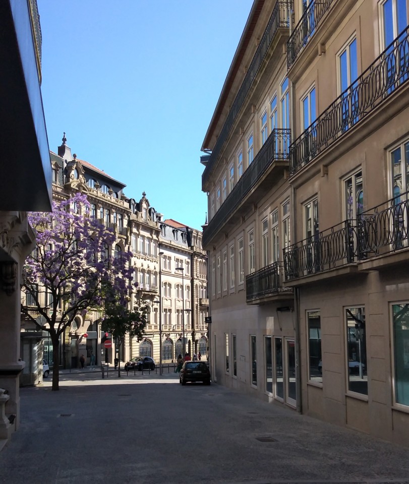 Rua do Bonjardim - Sá da Bandeira.jpg