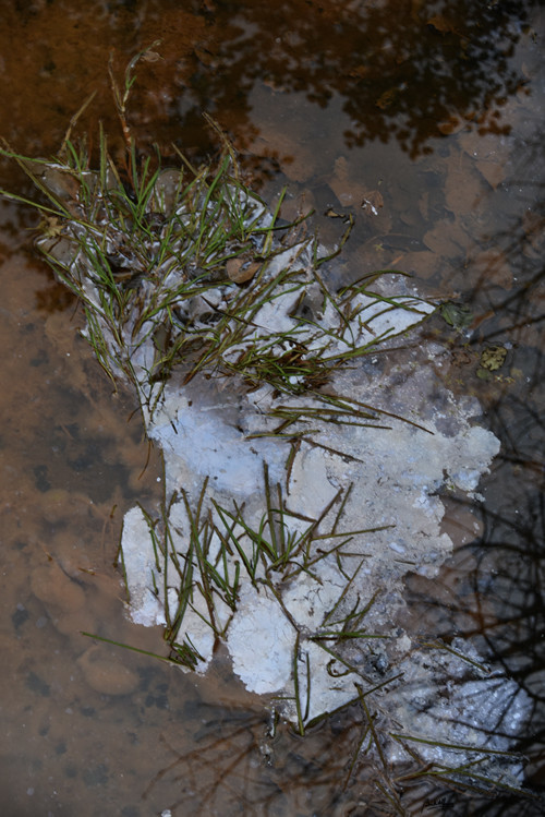 Ponto 1_DSC3212.JPG Ponto 1_DSC3212.JPG