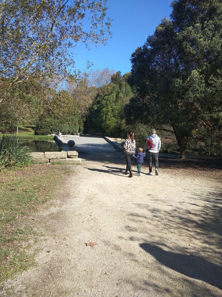 IMG_20221105_115001.jpg