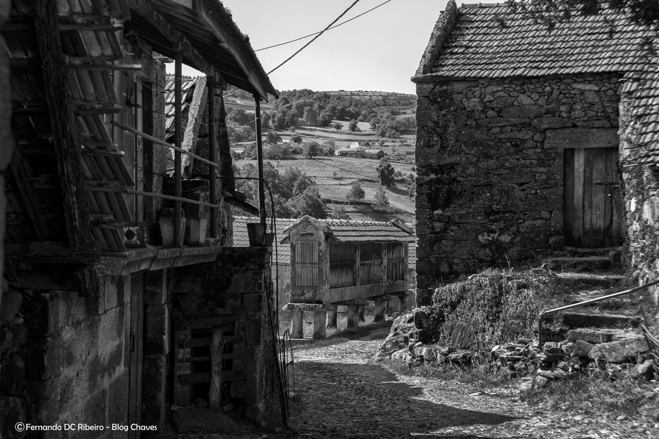 1600-cerdeira (4)-video.jpg