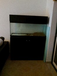 Fotografia0291