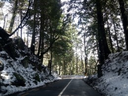 IMG_20180325_123715.jpg