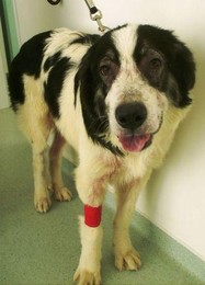 fb_jzclzNjwoTjisZHv0qpQ