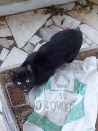 fb_bd16f3d10cacfff95cde529d8a85f25b