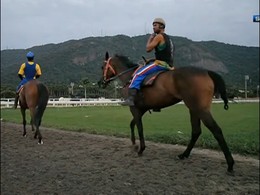 Gávea 04hs - Joquei Clube, praticantes de hipismo