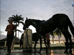 Gávea 04hs - Joquei Clube, praticantes de hipismo
