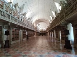 52658373_2666375006738483_3238242884046028800_n.jp