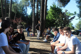14 (12).webp